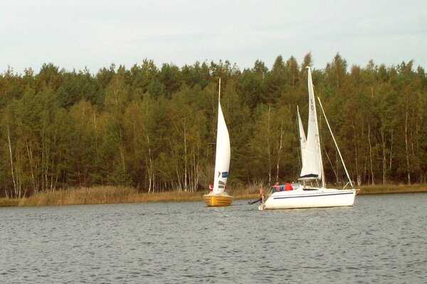 Absegeln 2012
