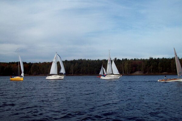 Absegeln 2012