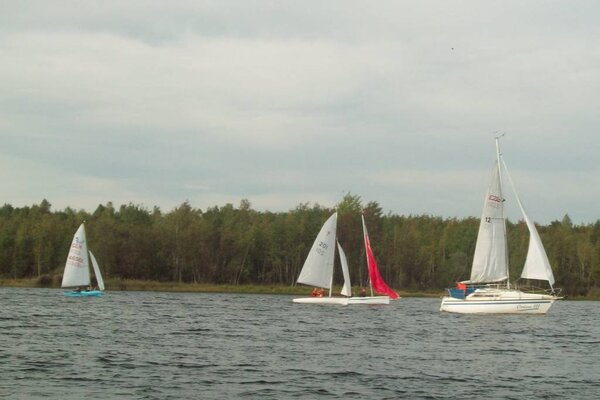 Absegeln 2012