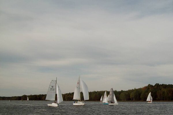 Absegeln 2012