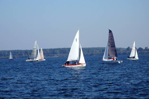 Absegeln 2014