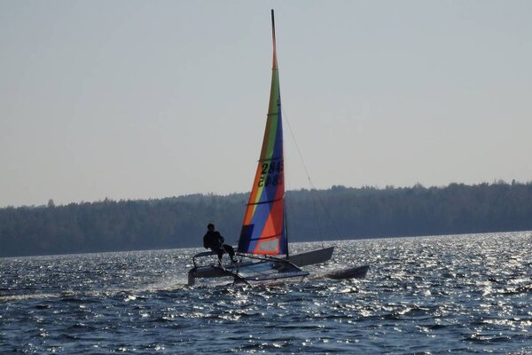 Absegeln 2014