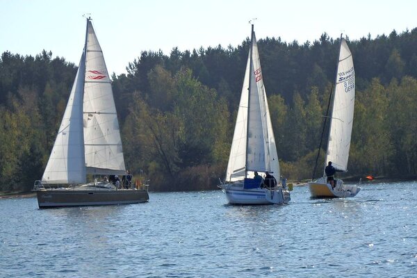 Absegeln 2014