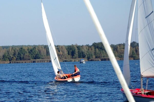 Absegeln 2014