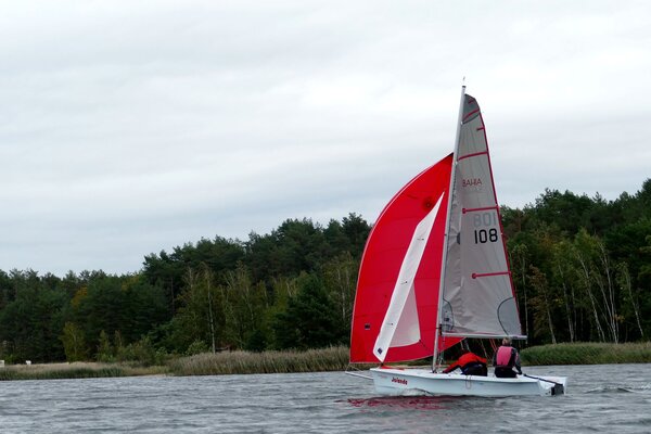 Absegeln 2023