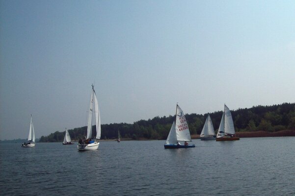 Ansegeln 2014