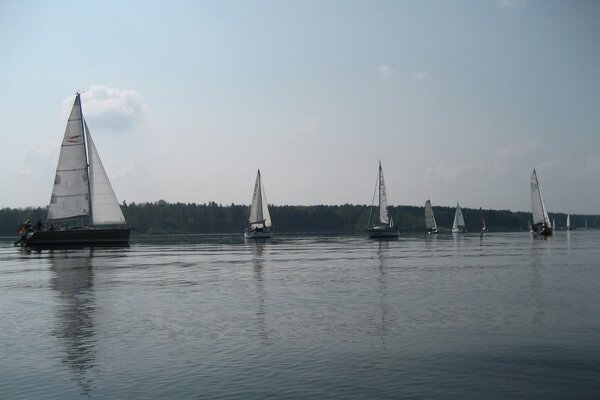 Ansegeln 2014
