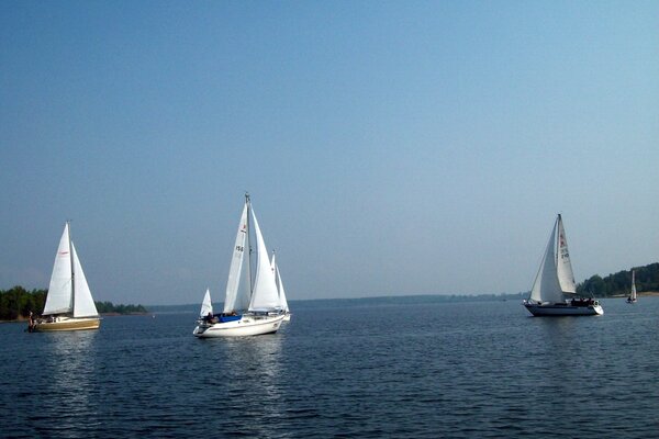 Ansegeln 2014
