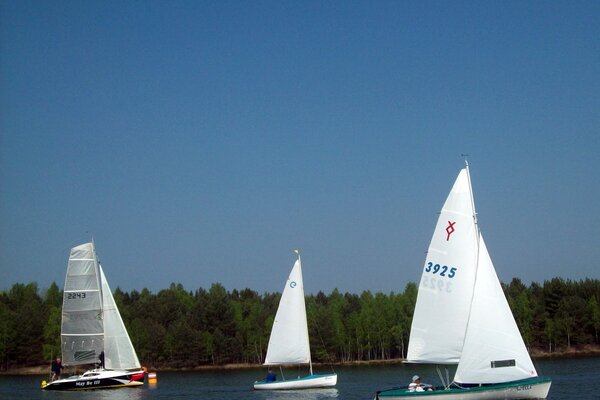 Ansegeln 2014