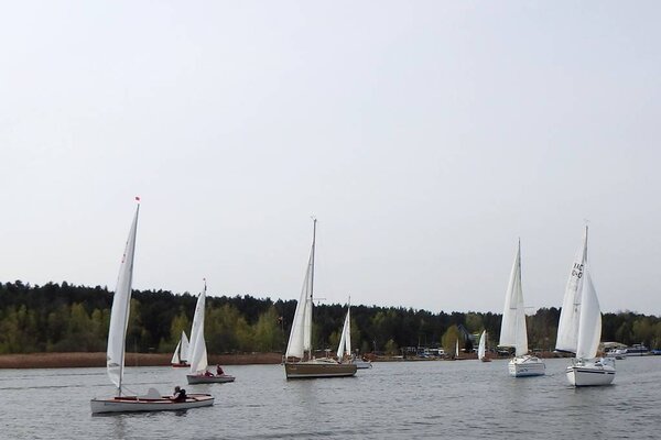 Ansegeln 2015