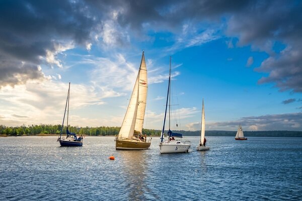 Ansegeln 2023