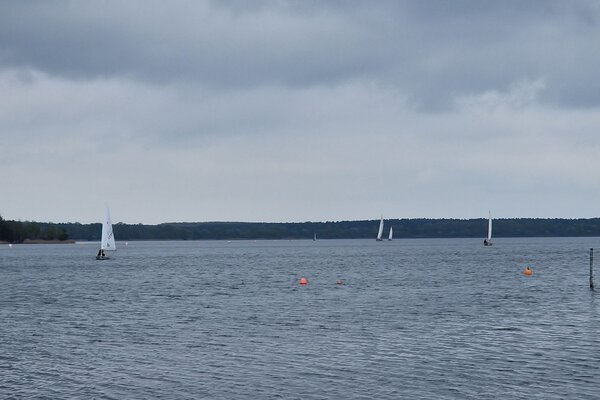 Ansegeln 2023