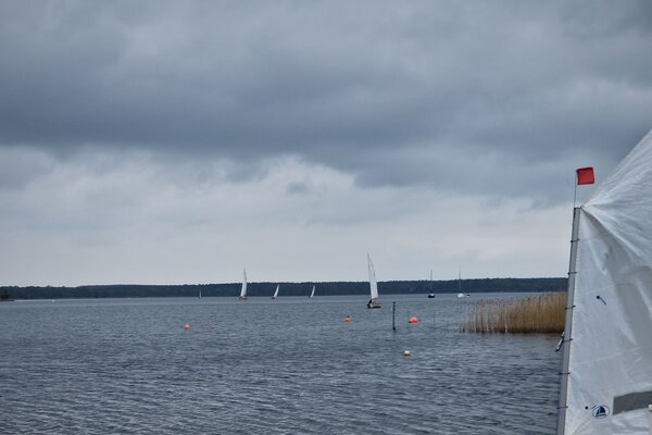 Ansegeln 2023
