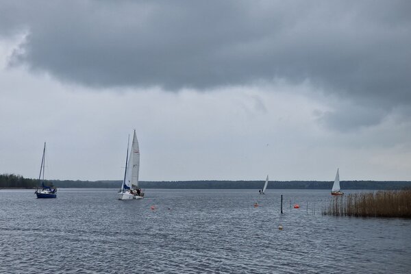 Ansegeln 2023