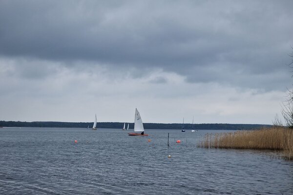 Ansegeln 2023