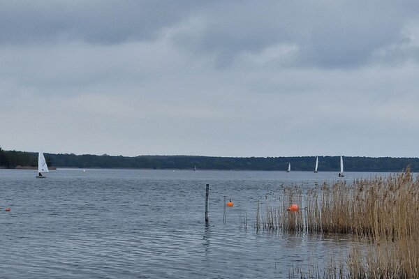 Ansegeln 2023