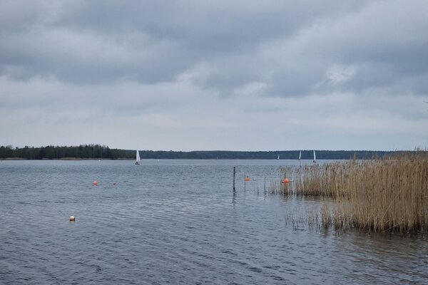Ansegeln 2023