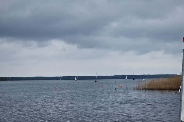 Ansegeln 2023