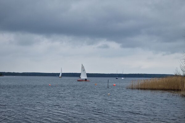 Ansegeln 2023