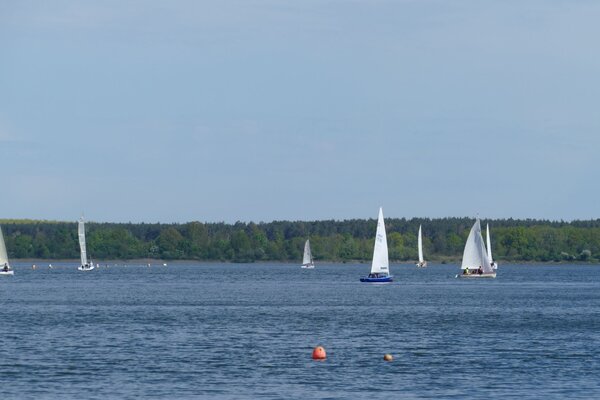 Ansegeln 2024