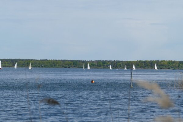 Ansegeln 2024