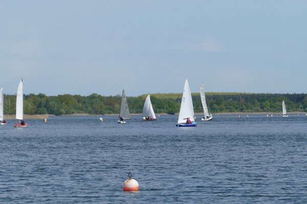 Ansegeln 2024