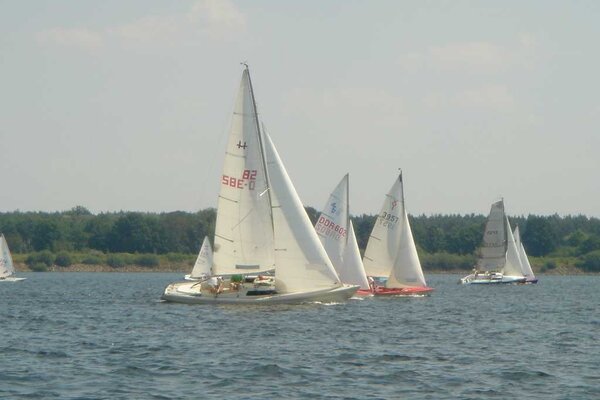 Clubmeisterschaft 2006