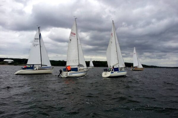 Frühjahrsregatta 2012
