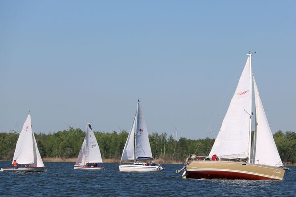 Frühjahrsregatta 2018
