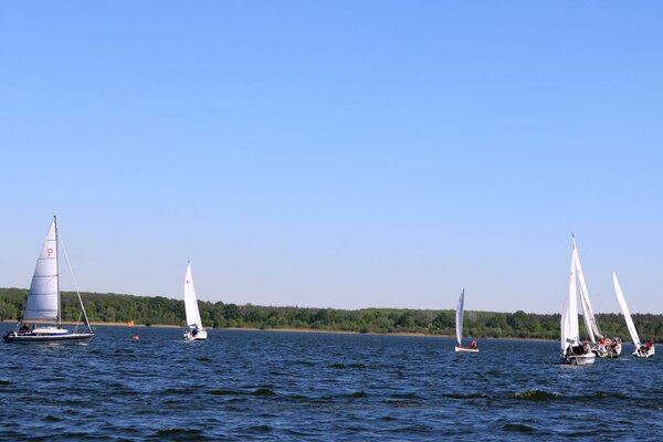 Frühjahrsregatta 2018