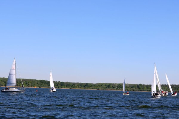 Frühjahrsregatta 2018