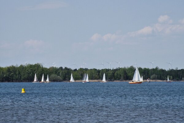 Frühjahrsregatta 2023