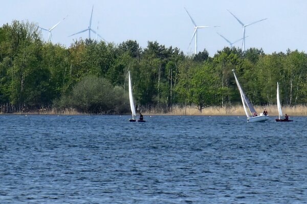 Frühjahrsregatta 2023