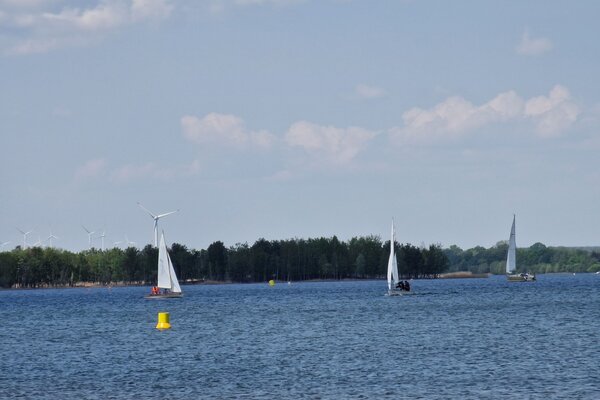 Frühjahrsregatta 2023