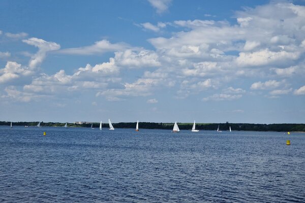Frühjahrsregatta 2023