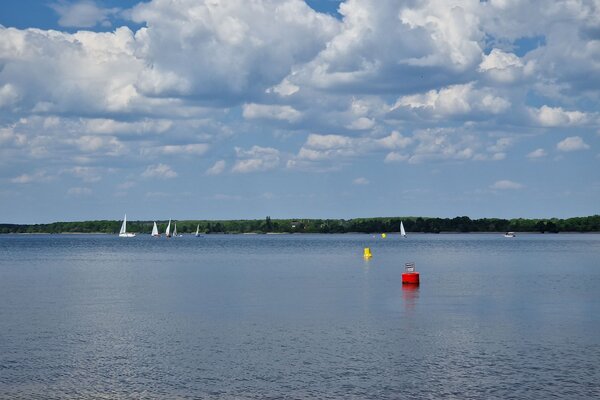 Frühjahrsregatta 2023