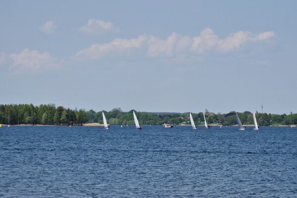Frühjahrsregatta 2023