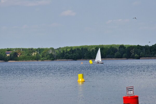 Frühjahrsregatta 2023