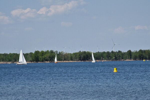 Frühjahrsregatta 2023