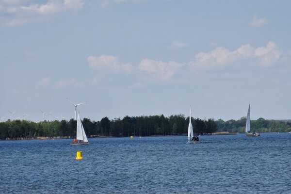 Frühjahrsregatta 2023