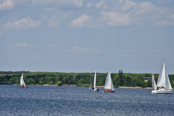 Frühjahrsregatta 2023