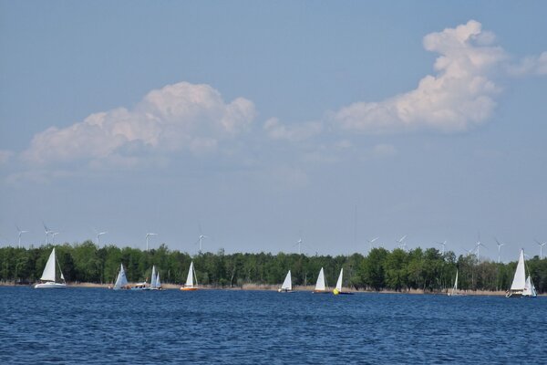 Frühjahrsregatta 2023