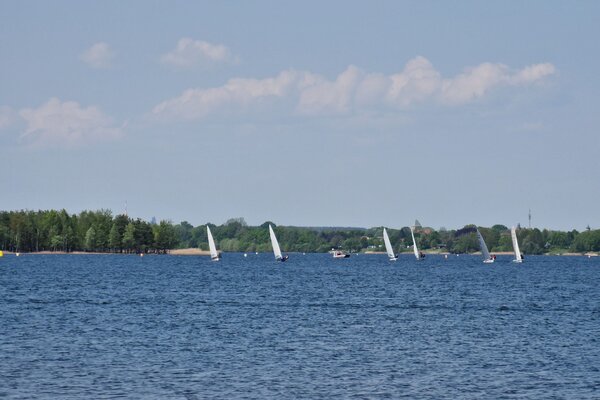 Frühjahrsregatta 2023
