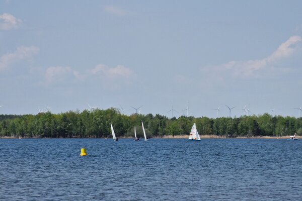 Frühjahrsregatta 2023