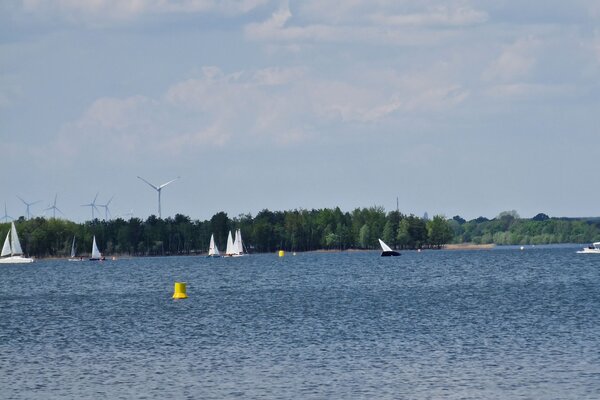 Frühjahrsregatta 2023