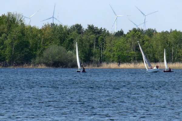Frühjahrsregatta 2023