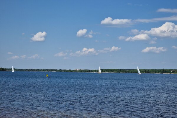 Frühjahrsregatta 2023