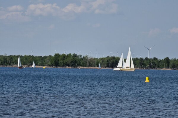Frühjahrsregatta 2023