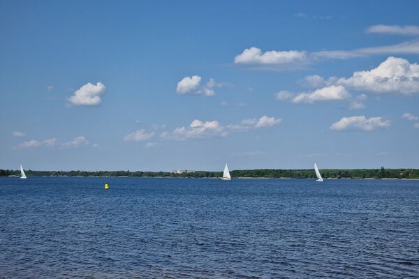 Frühjahrsregatta 2023