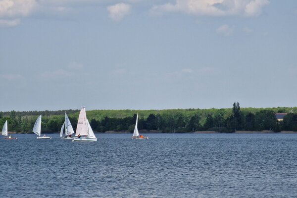 Frühjahrsregatta 2023